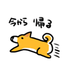 都会家族のやり取り犬スタンプ（個別スタンプ：18）