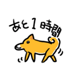 都会家族のやり取り犬スタンプ（個別スタンプ：29）