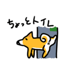 都会家族のやり取り犬スタンプ（個別スタンプ：33）