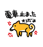都会家族のやり取り犬スタンプ（個別スタンプ：39）