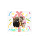 日常スタンプ’꒳`ฅ3（個別スタンプ：7）