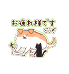 日常で使える！犬と黒猫のスタンプ（個別スタンプ：4）