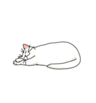 空きっ腹に白猫（個別スタンプ：2）