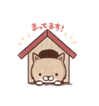 ゆる〜いどうぶつ(しばいぬ ねこ くま)（個別スタンプ：8）