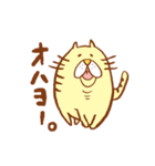 いろんな ねこ（個別スタンプ：1）