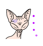 傲慢猫のスフィンクス（個別スタンプ：5）