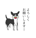 犬さんは肯定する（個別スタンプ：1）