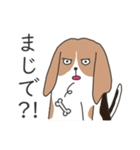 犬さんは肯定する（個別スタンプ：2）