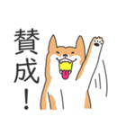 犬さんは肯定する（個別スタンプ：5）