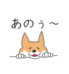 犬さんは肯定する（個別スタンプ：11）