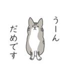 猫さんは否定する（個別スタンプ：4）