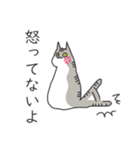 猫さんは否定する（個別スタンプ：6）