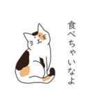 猫さんは否定する（個別スタンプ：19）