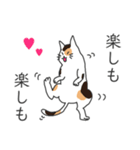 猫さんは否定する（個別スタンプ：24）