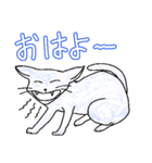 いつもいつでも5（個別スタンプ：1）