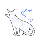 いつもいつでも5（個別スタンプ：10）