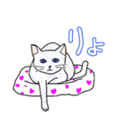 いつもいつでも5（個別スタンプ：12）