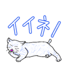 いつもいつでも5（個別スタンプ：16）