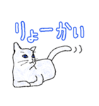 いつもいつでも5（個別スタンプ：18）