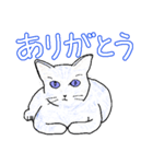 いつもいつでも5（個別スタンプ：20）