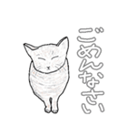 いつもいつでも5（個別スタンプ：22）