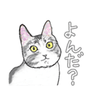 いつもいつでも5（個別スタンプ：24）