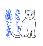 いつもいつでも5（個別スタンプ：26）