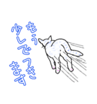 いつもいつでも5（個別スタンプ：30）