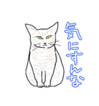 いつもいつでも5（個別スタンプ：31）
