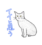 いつもいつでも5（個別スタンプ：32）