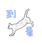 いつもいつでも5（個別スタンプ：33）
