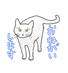 いつもいつでも5（個別スタンプ：35）