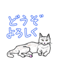 いつもいつでも5（個別スタンプ：36）