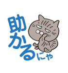 ボスにゃんこ 2【デカ文字にゃん編】（個別スタンプ：37）