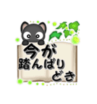 黒ねこの応援スタンプ（個別スタンプ：16）