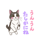 聞き上手なねこさんの動くスタンプ（個別スタンプ：21）