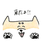 ひょっこりしば犬（個別スタンプ：3）