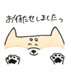 ひょっこりしば犬（個別スタンプ：4）