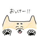 ひょっこりしば犬（個別スタンプ：6）