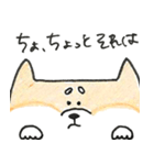 ひょっこりしば犬（個別スタンプ：8）