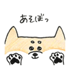 ひょっこりしば犬（個別スタンプ：13）