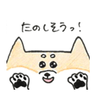 ひょっこりしば犬（個別スタンプ：15）