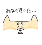 ひょっこりしば犬（個別スタンプ：17）