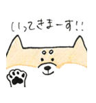 ひょっこりしば犬（個別スタンプ：21）