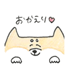 ひょっこりしば犬（個別スタンプ：24）