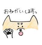 ひょっこりしば犬（個別スタンプ：28）