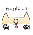 ひょっこりしば犬（個別スタンプ：30）