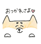 ひょっこりしば犬（個別スタンプ：31）