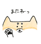 ひょっこりしば犬（個別スタンプ：38）