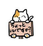 にこにこねこにゃん（個別スタンプ：29）